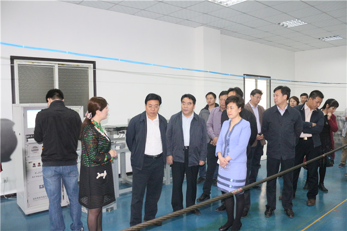 洛阳市市长及各导来洛阳黄瓜视频污污污下载调研考察